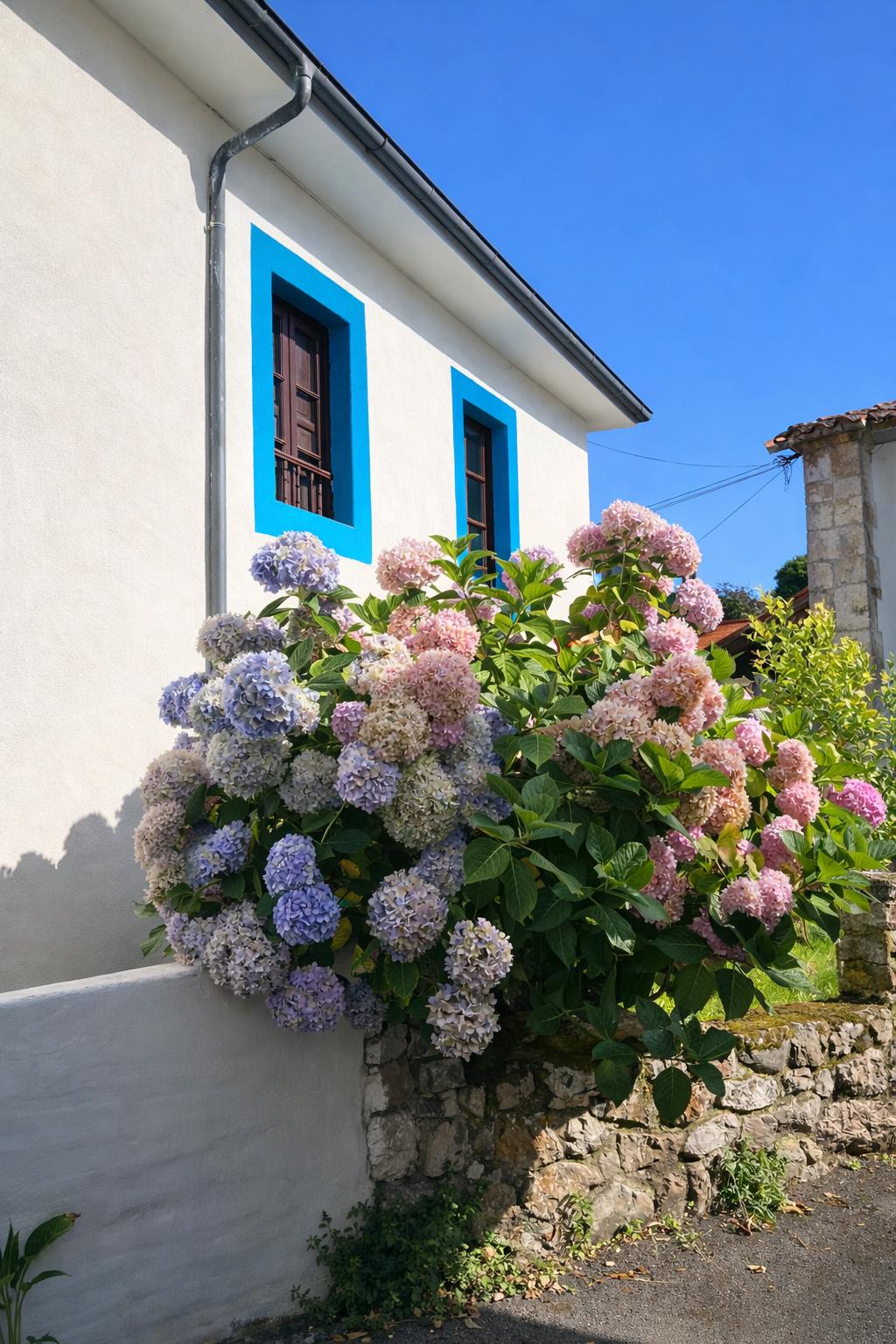 Exterior de la casina