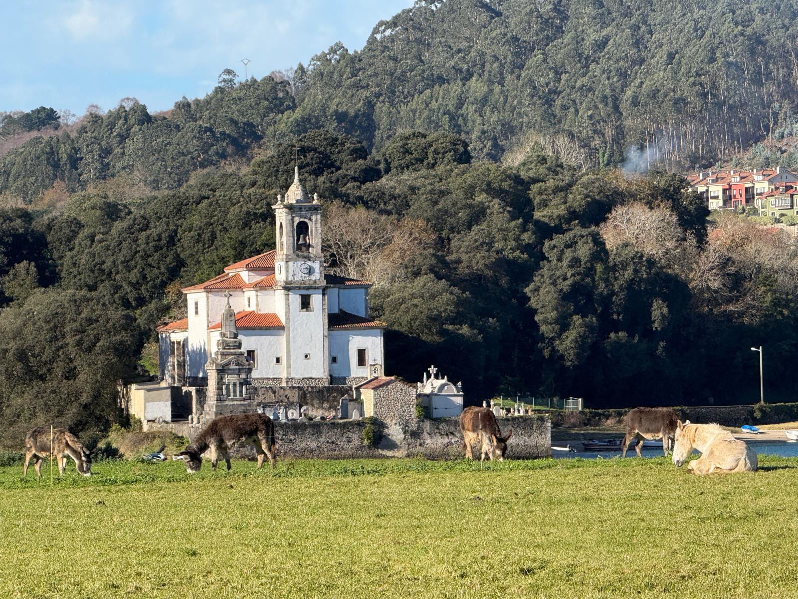 paisaje